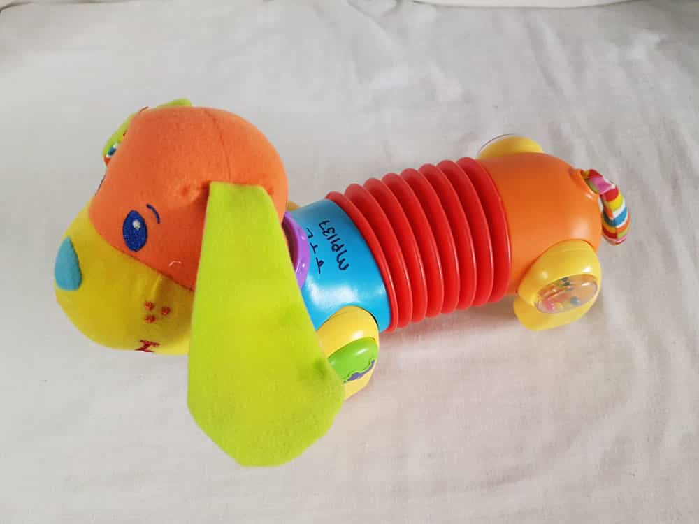 Walking Dachshund Dog photo