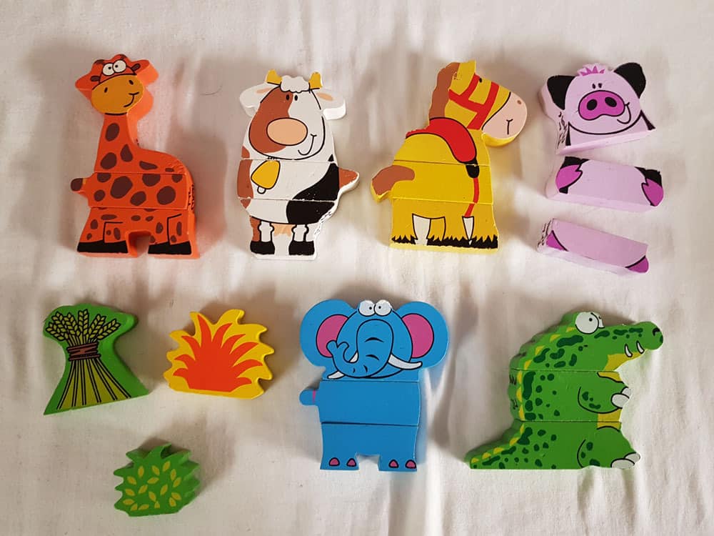 Magnetic Animal x 6 Set photo