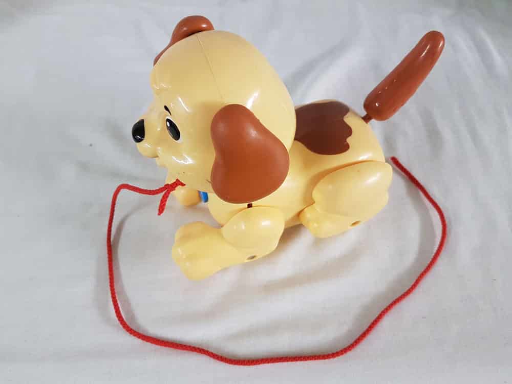 Pullalong Brown Dog photo